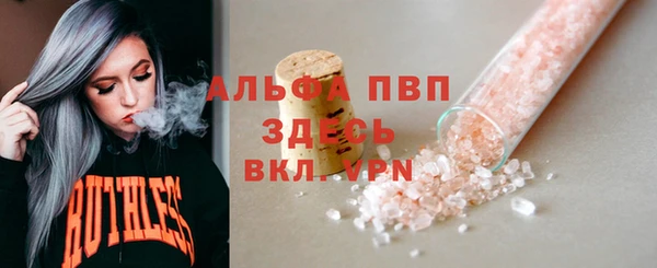 spice Каменногорск