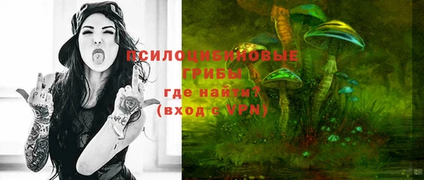 spice Каменногорск